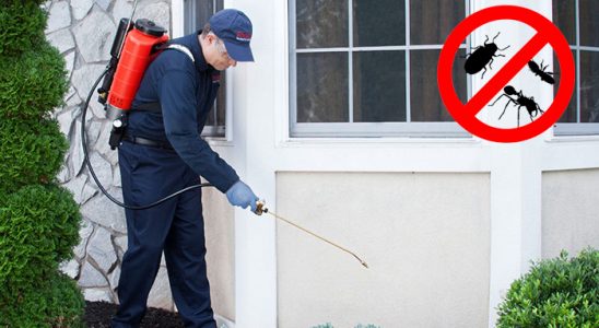 Cihanbeyli Gümüşkurt İlaçlama böcek ilaçlama ve haşere kontrolü — ilaclama-tr.com